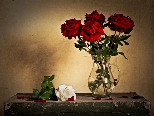 Kırmızı ve Beyaz Güller - Kanvas Tablo ürün görseli