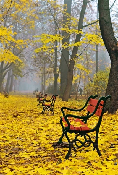 Sarı Yapraklar, Boş Banklar - Kanvas Tablo ürün görseli