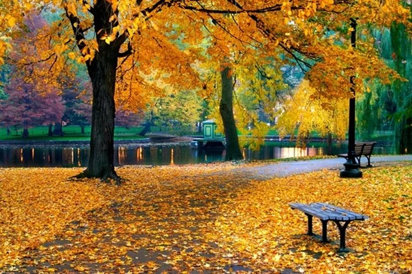 Sonbaharda Park - Kanvas Tablo