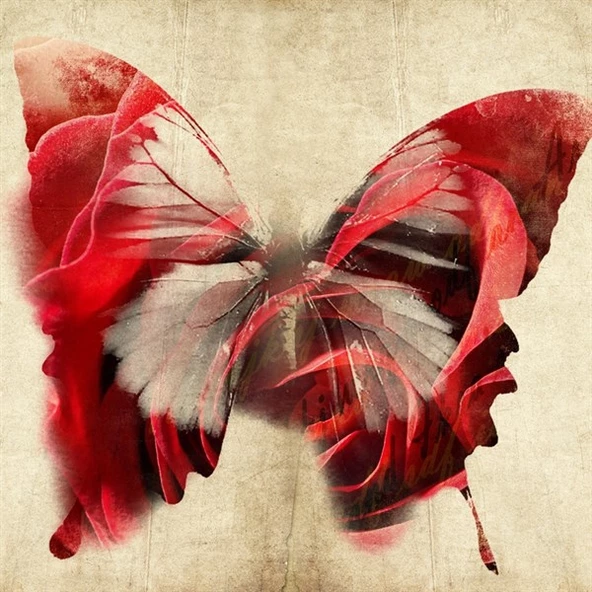 Kırmızı Beyaz Kelebek - Kanvas Tablo ürün görseli