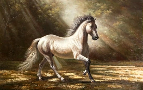 Beyaz, Yeleli At - Kanvas Tablo ürün görseli