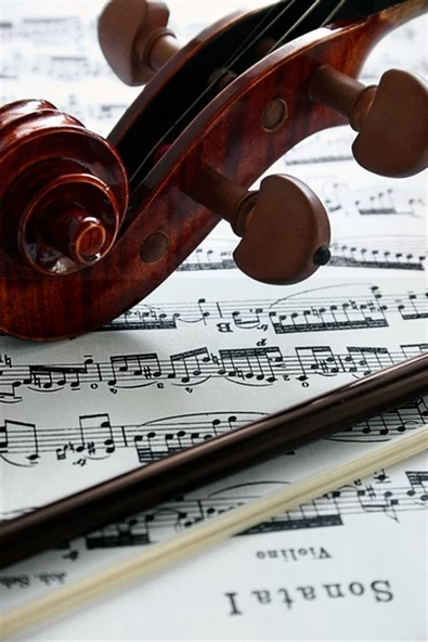 Keman Salyangozu - Kanvas Tablo ürün görseli