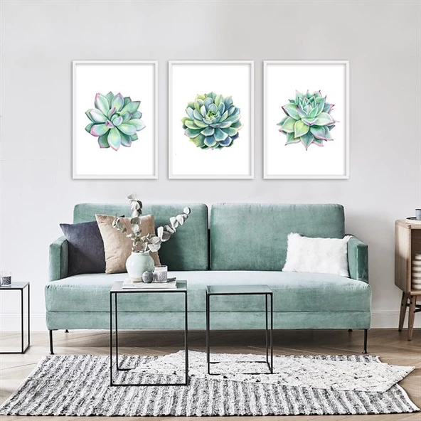 Skulent 2 Çerçeveli Poster Seti ürün görseli 1