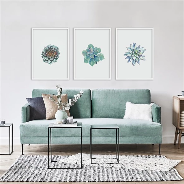 Skulent Çerçeveli Poster Seti ürün görseli