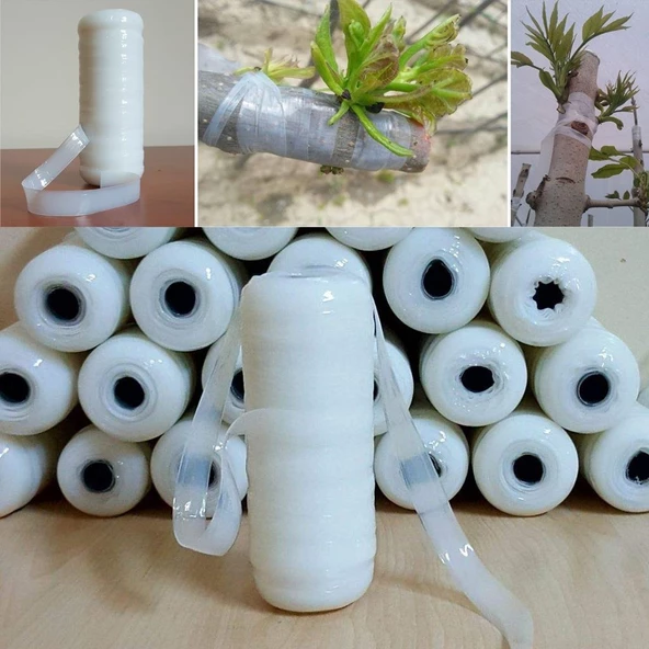 1 Rulo Aşı Bandı / Aşı Bağı / Aşı Fidan Bağı 1. Kalite - 2