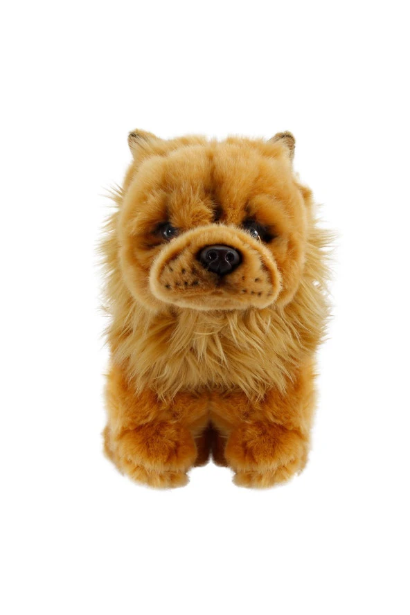 Chow Chow (ÇİN ASLANI) 28cm - Resim 2