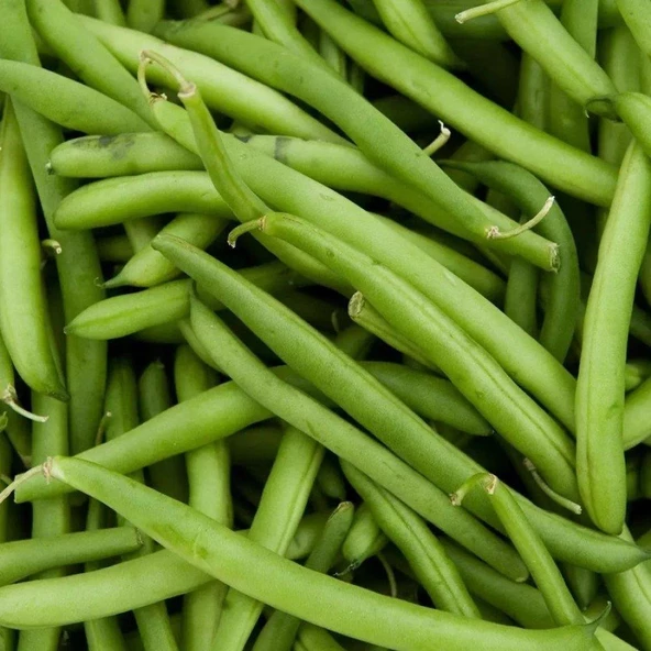 Kılçıksız Börülce Tohumu 50 gr Paket ürün görseli