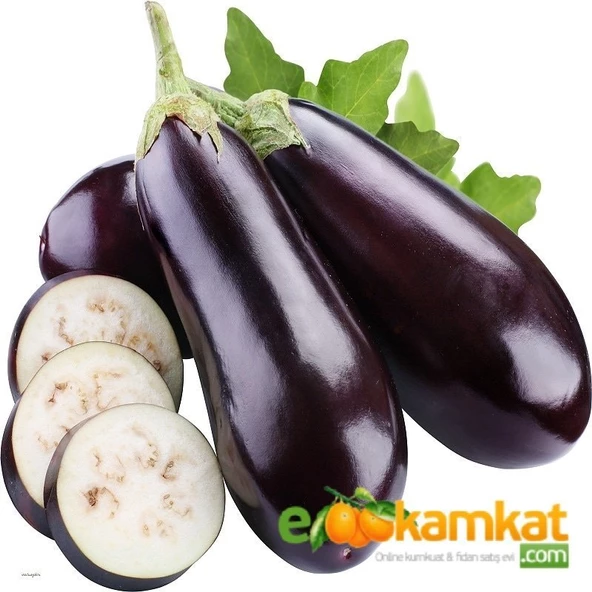 Kemer Patlıcan Tohumu 25 gr Paket ürün görseli 1