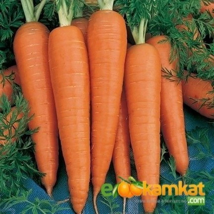 Havuç ( Nantes) Tohumu 25 gr Paket ürün görseli