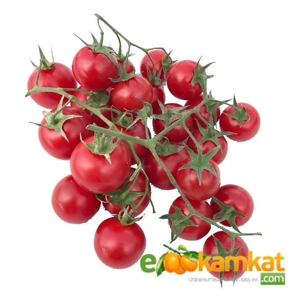 Cherry (Pinpon) Domates Tohumu 250 Adet ürün görseli