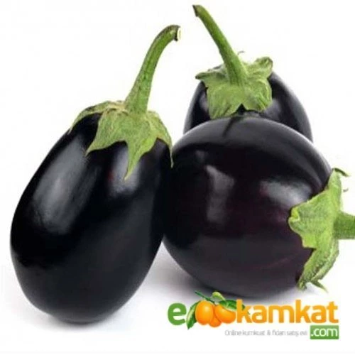 Topan Patlıcan Tohumu 25 gr Paket - 1
