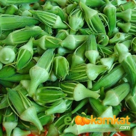 Sultani Çiçek Bamya Tohumu Paket 10 gr Paket - 1