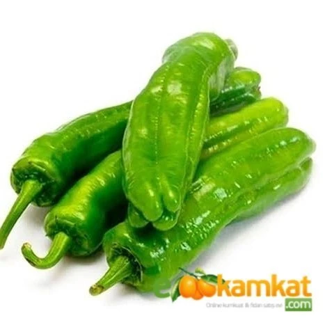 Doğal Mazamort Biber Tohumu  10 gr Köy Biberi Üç Burun ürün görseli