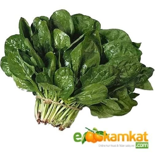 Köy Ispanak Tohumu 25 gr Paket ürün görseli 1