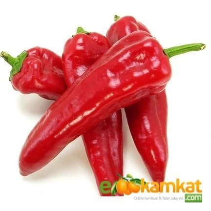 Yağlık Biber Tohumu  25 gr Paket - 1