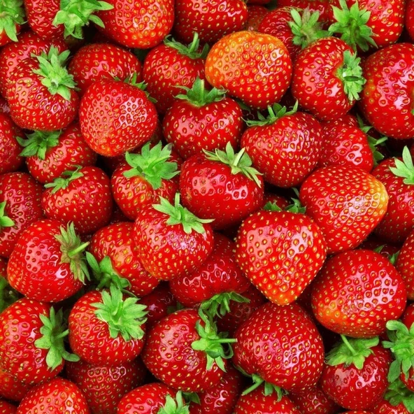 Yediveren Çilek Tohumu 1 Paket (+100 Adet) ürün görseli