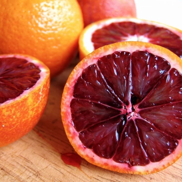 3 Yaş Aşılı Kan Portakalı Fidanı, Torbada ürün görseli