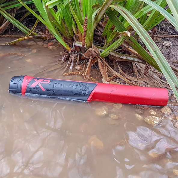 Xp Mı-4 Pointer - 2