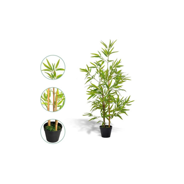 Saksılık Bambu ağacı tohumu Ekim Seti - 2