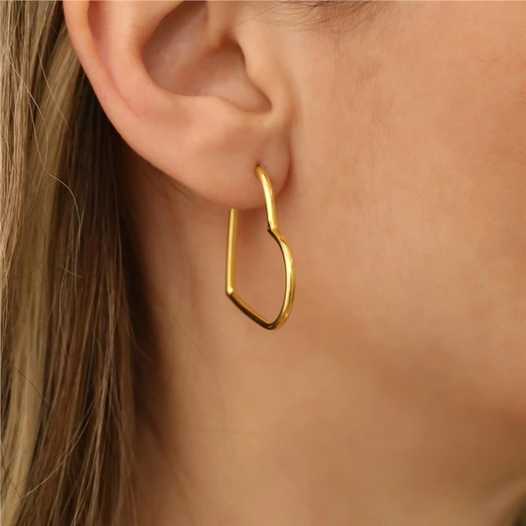 925 Ayar Gümüş Kalp Küpe - E00115 ürün görseli 1