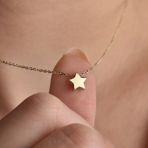 14 Ayar Altın Kaplama Yıldız Gümüş Kolye CN00142 ürün görseli 1