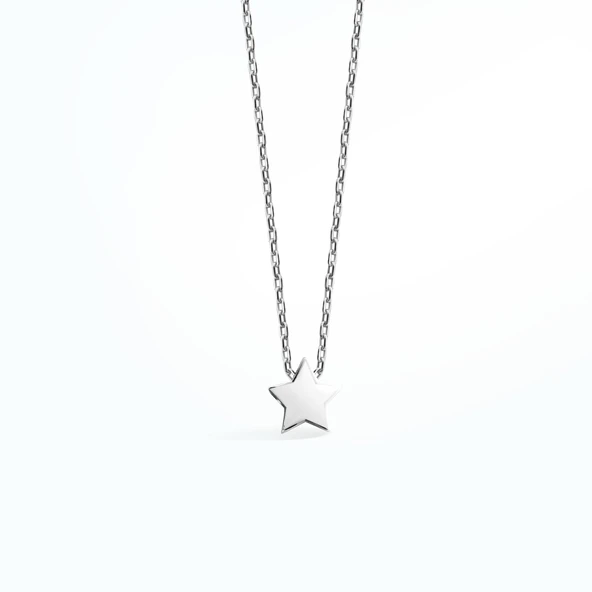 14 Ayar Altın Kaplama Yıldız Gümüş Kolye CN00142 - Resim 6
