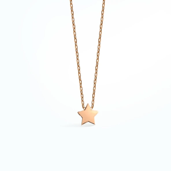 14 Ayar Altın Kaplama Yıldız Gümüş Kolye CN00142 - Resim 4