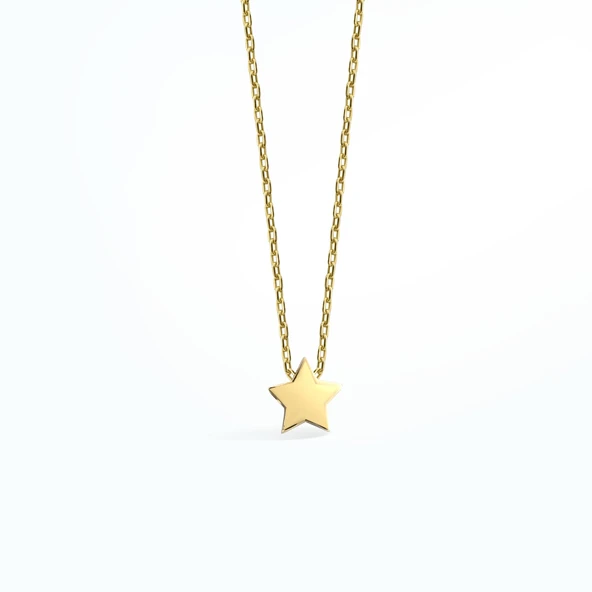 14 Ayar Altın Kaplama Yıldız Gümüş Kolye CN00142 - Resim 5