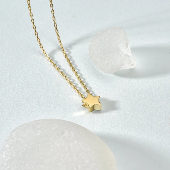 14 Ayar Altın Kaplama Yıldız Gümüş Kolye CN00142 - Resim 2