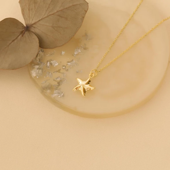 14 Ayar Altın Mikron Kaplama Minimal Deniz Yıldızı Gümüş Kolye - CN00204 - Resim 4