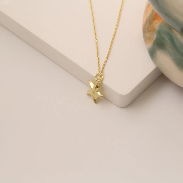 14 Ayar Altın Mikron Kaplama Minimal Deniz Yıldızı Gümüş Kolye - CN00204 - Resim 3