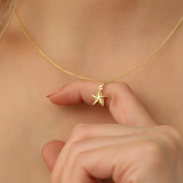 14 Ayar Altın Mikron Kaplama Minimal Deniz Yıldızı Gümüş Kolye - CN00204 ürün görseli 1