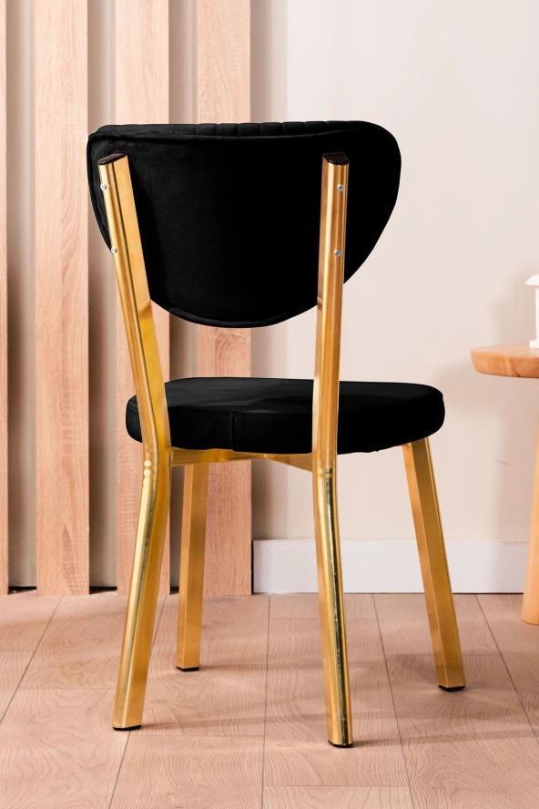 VIANEM Kütük Desenli MDF Gold Elma Mutfak Masa Takımı 6 Sandalyeli Salon Yemek Masa Takımı - 3