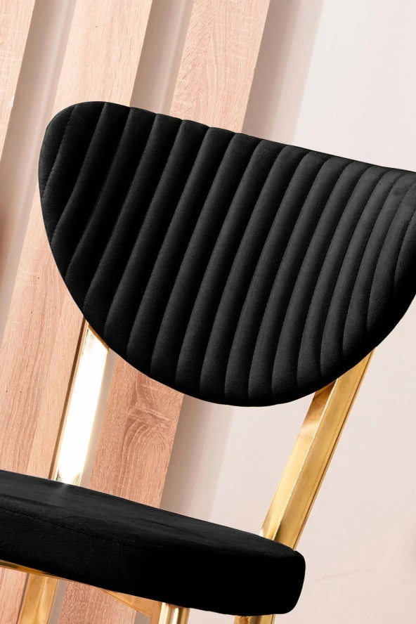 VIANEM Kütük Desenli MDF Gold Elma Mutfak Masa Takımı 6 Sandalyeli Salon Yemek Masa Takımı - 4