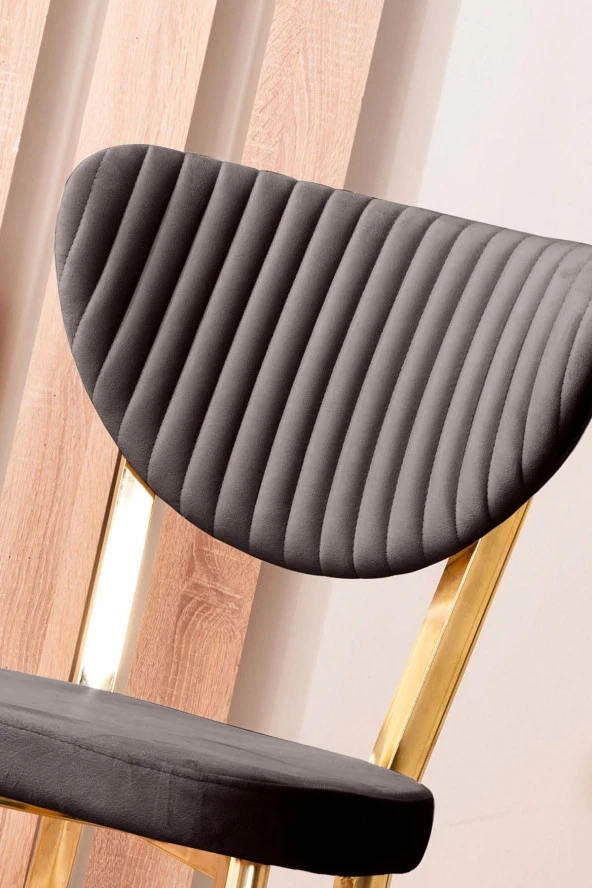 VIANEM Kütük Desenli MDF Gold Elma Mutfak Masa Takımı 6 Sandalyeli Salon Yemek Masa Takımı - 4