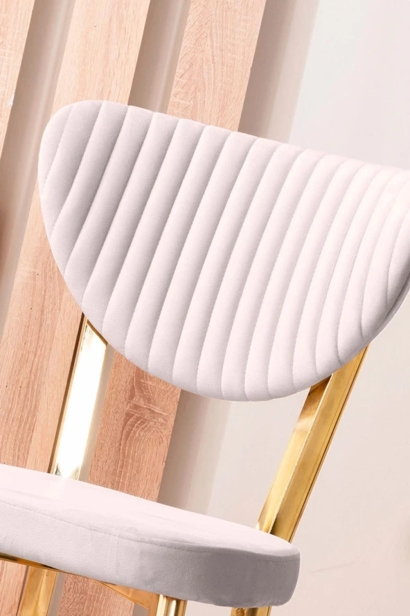 VIANEM Kütük Desenli MDF Gold Elma Mutfak Masa Takımı 4 Sandalyeli Salon Yemek Masa Takımı - Resim 4