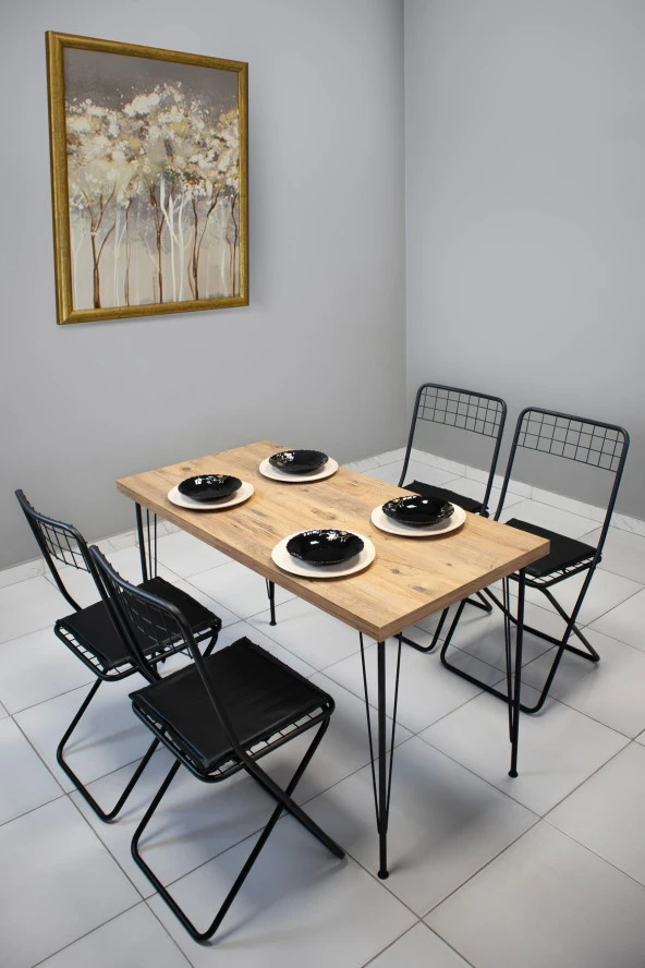 VIANEM Portatif 4'lÜ Sandalye 60x120 Masa Takımı Mutfak Bahçe Balkon Masa Takımı ürün görseli 1