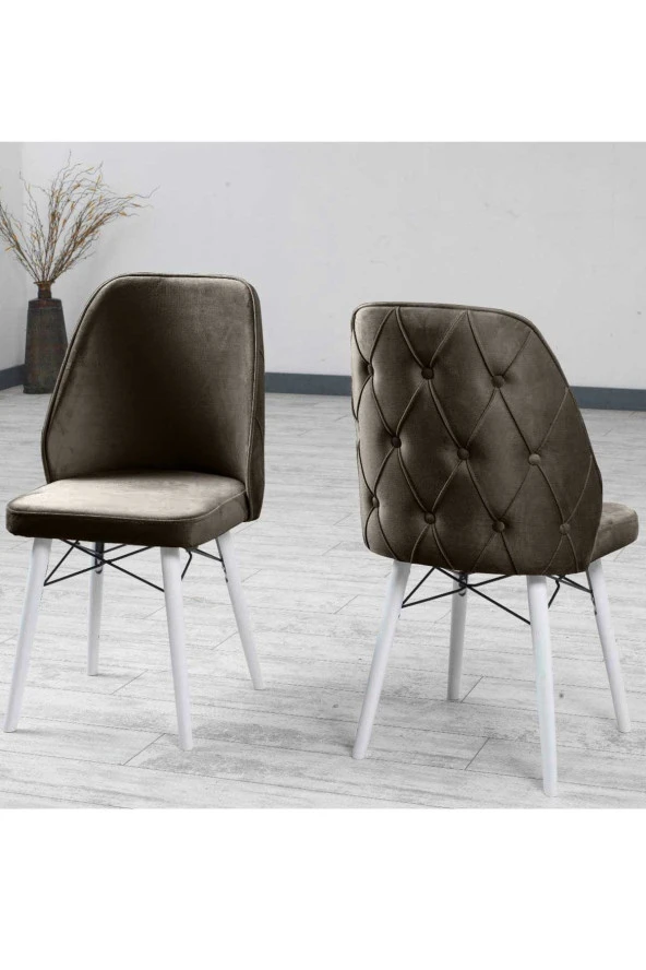 VIANEM Lexus Mutfak Sandalyesi Yemek Odası Salon Oturma Odası Sandalyesi - Ahşap Beyaz Ayak ürün görseli 1