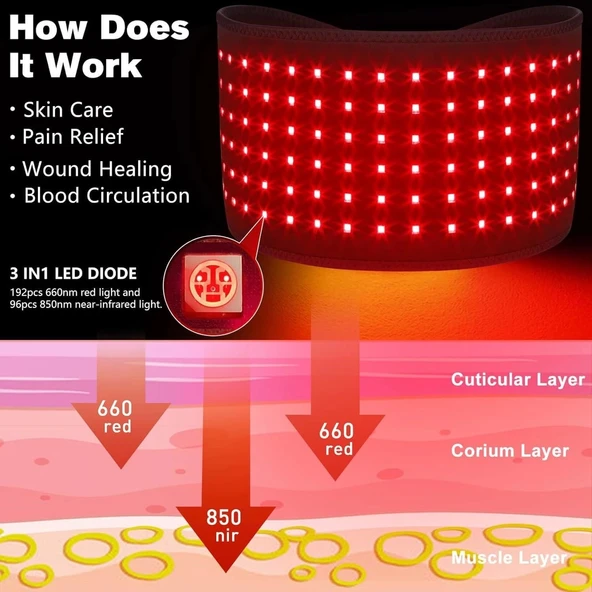 DGYAO Kablosuz Kırmızı Işık Terapi Kemeri (Masaj Cihazı Olmadan) - 4