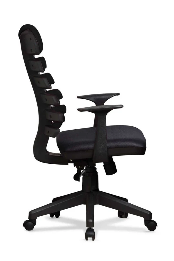 Ev ve Ofis Çalışma Sandalyesi Bilgisayar ve Yönetici Koltuğu Zebra Model Siyah - 2