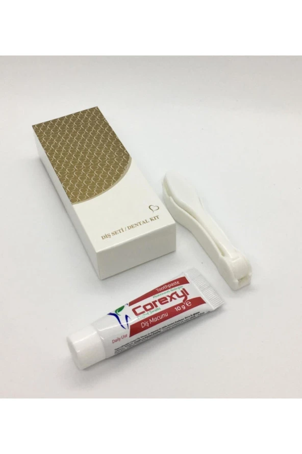 Otel Tipi Diş Seti 1 Koli 200 Adet ürün görseli 1