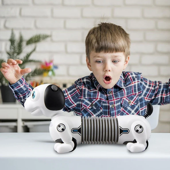 Silverlit Robo Dackel Junior Robot Köpek - SIL/88578 - Resim 7