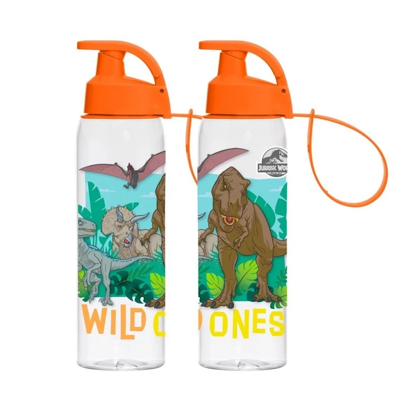 Herevin Matara Lisanslı Wild Ones 500 ML Dinazor Baskılı Suluk - 1