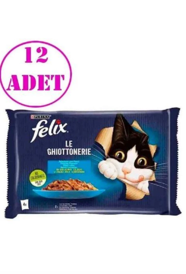 Felix Multipack Somonlu Ve Ton Balıklı Yetişkin Kedi Yaş Maması 4X85 Gr 12 Adet