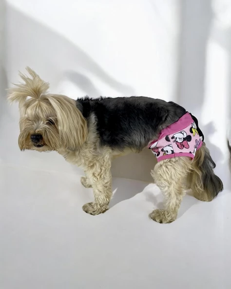 Mouse Minnies Kemique's Secret Köpek İç Çamaşırı Regl Külot Don - 5