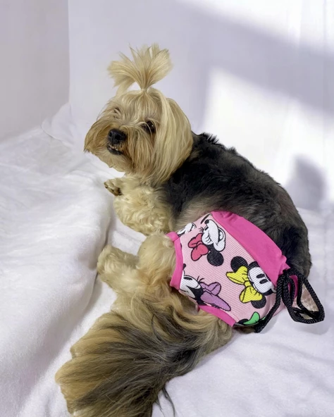 Mouse Minnies Kemique's Secret Köpek İç Çamaşırı Regl Külot Don - 4
