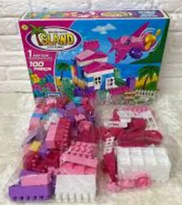 Asya Oyuncak ANT010 Ant Blocks İsland 100 Parça Eğitici Bloklar - 3