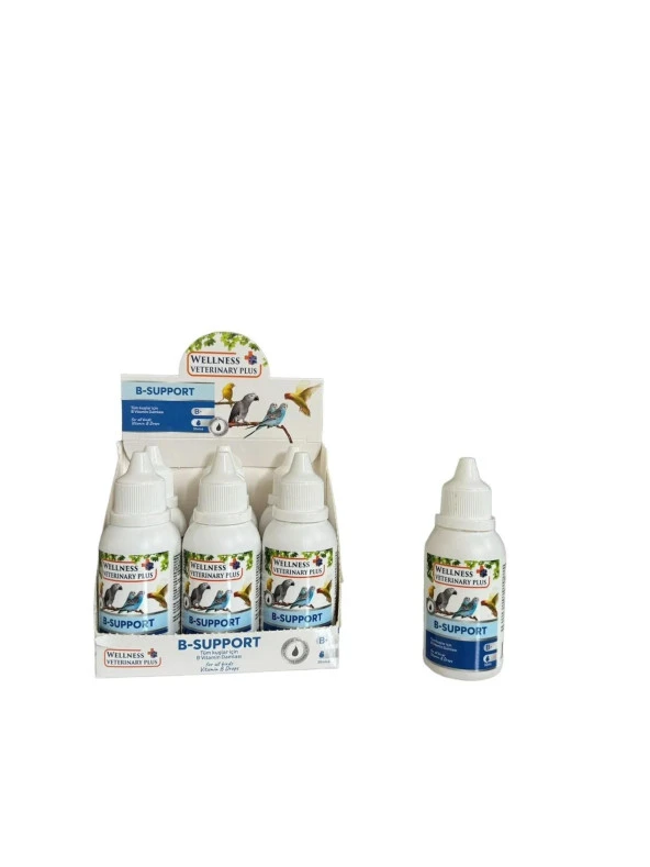 Wellness Veterinary B Support 30 Ml