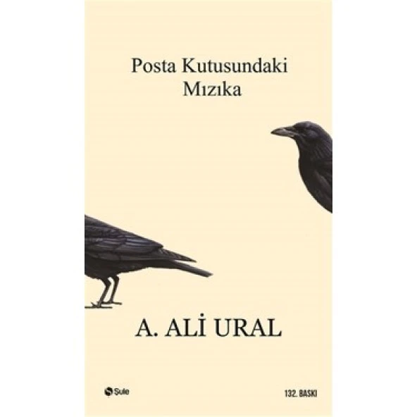 Posta Kutusundaki Mızıka - A. Ali Ural ürün görseli