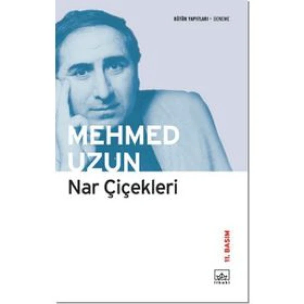 NAR ÇİÇEKLERİ - MEHMED UZUN